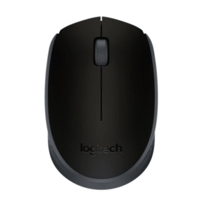Logitech Wireless Mouse M17